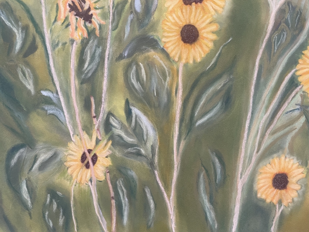 A Cluster of Sunflowers 