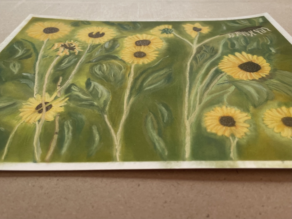 A Cluster of Sunflowers 