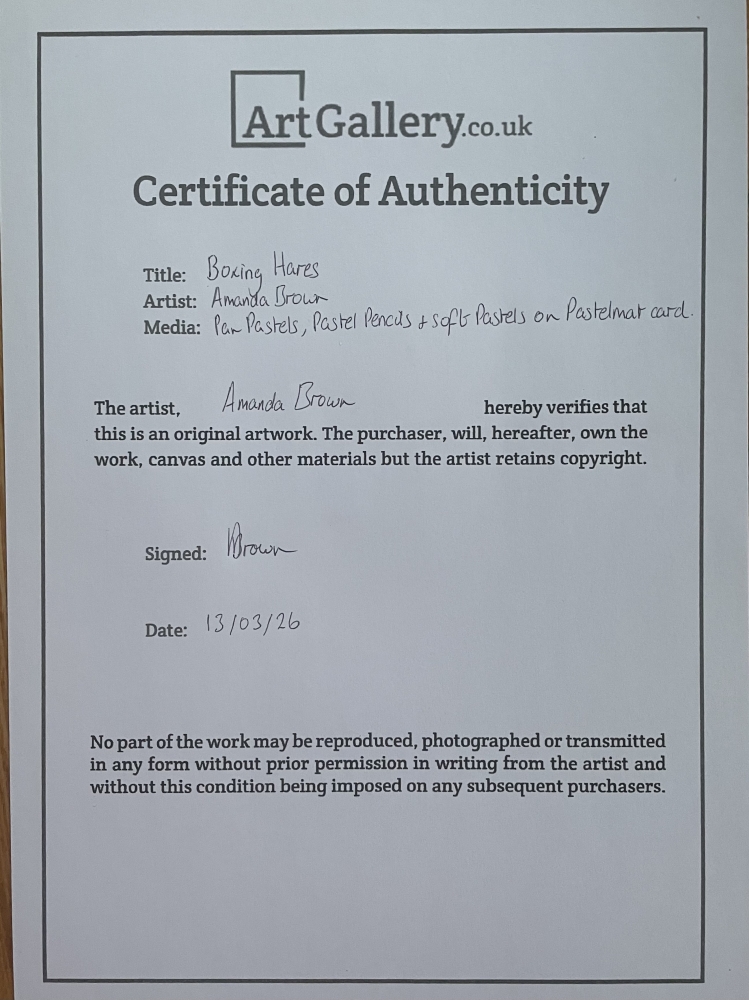 Brown Hares Boxing in Spring