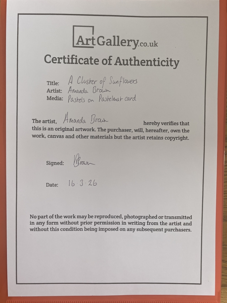 A Cluster of Sunflowers 