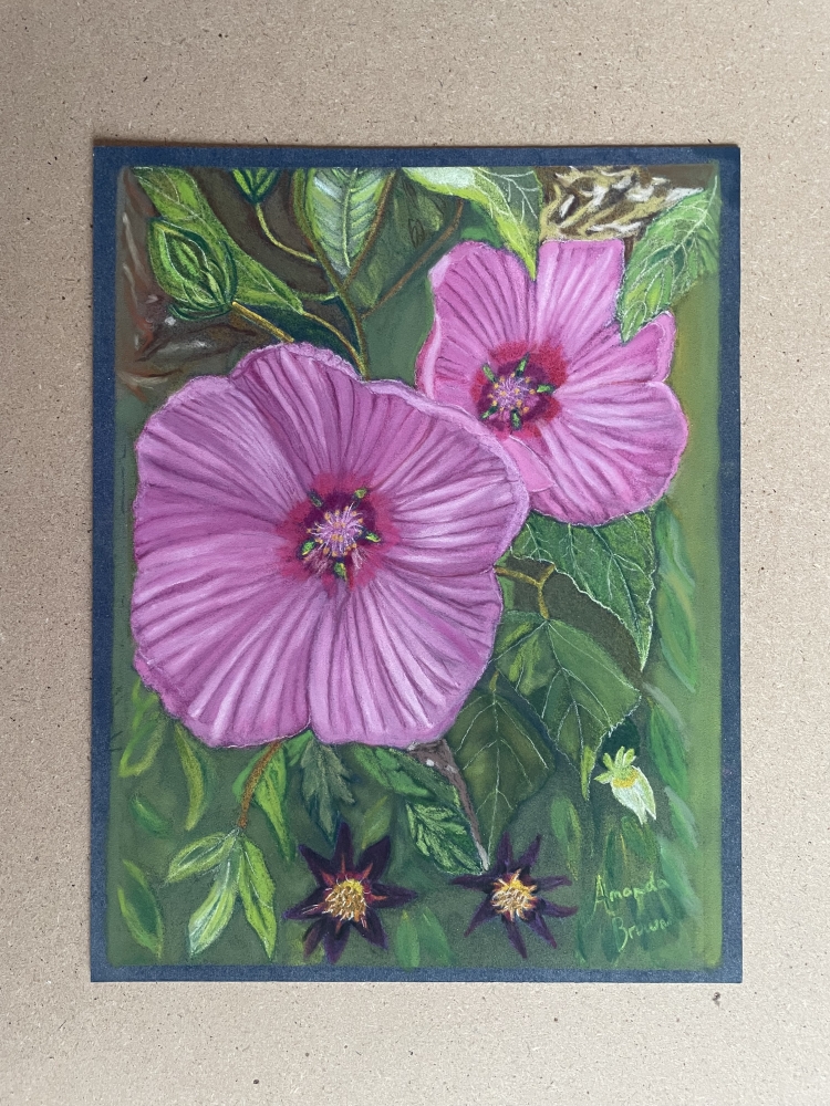 Rose Mallow Flowers