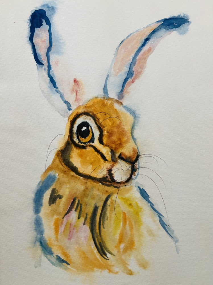 Hi, Hare!