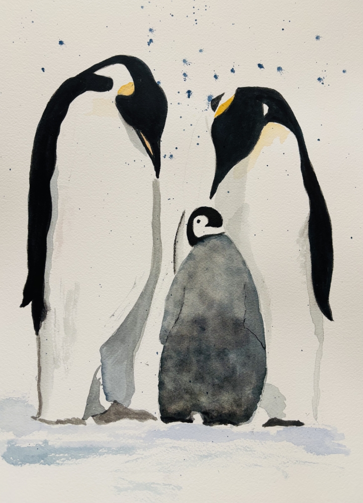 Penguin Family