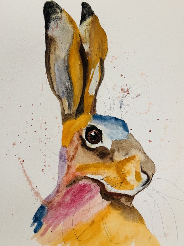 Colourful Hare Portrait