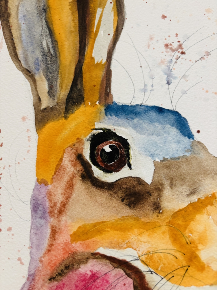 Colourful Hare Portrait