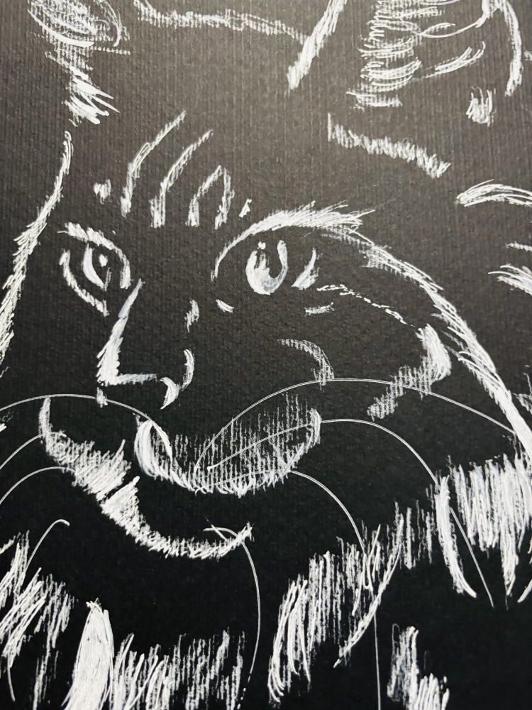 Abstract Cat Portrait 