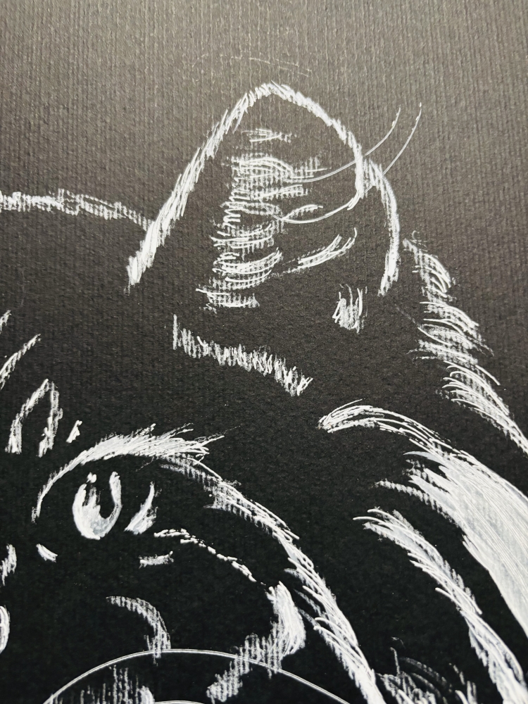 Abstract Cat Portrait 