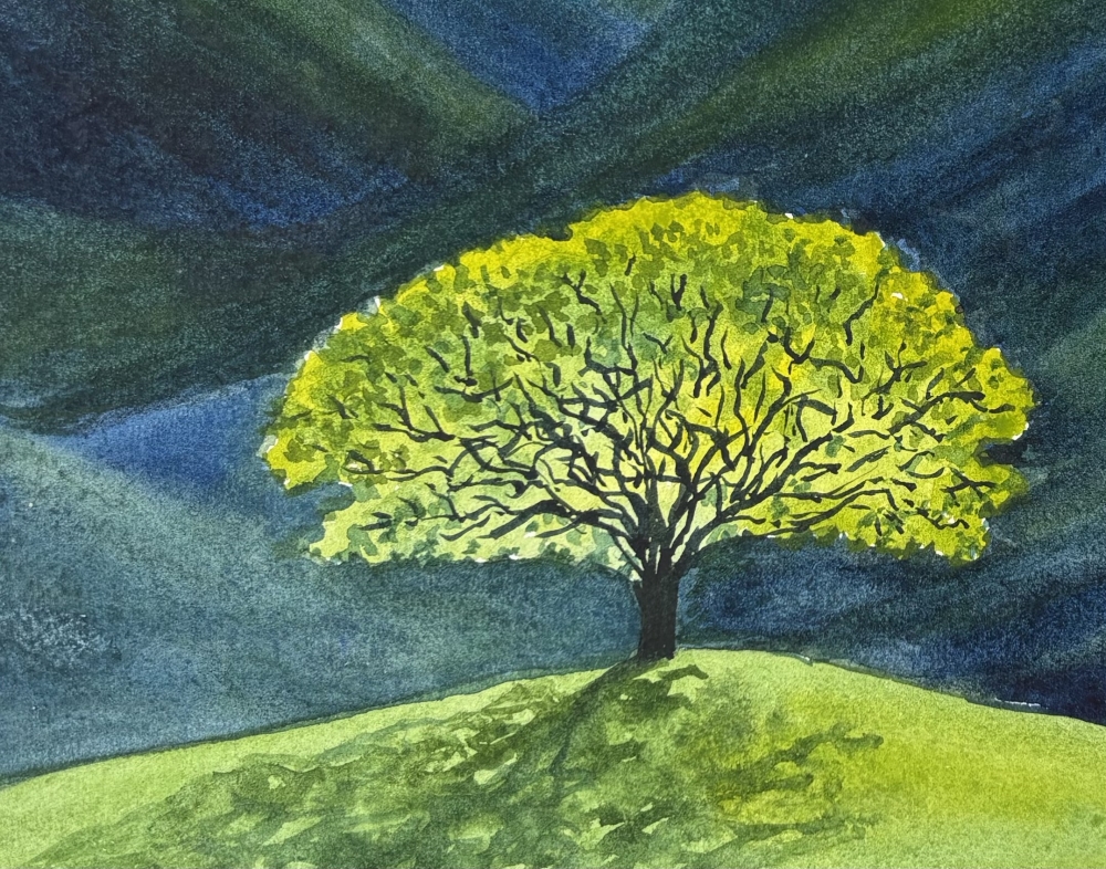 TREE IN THE SPOTLIGHT