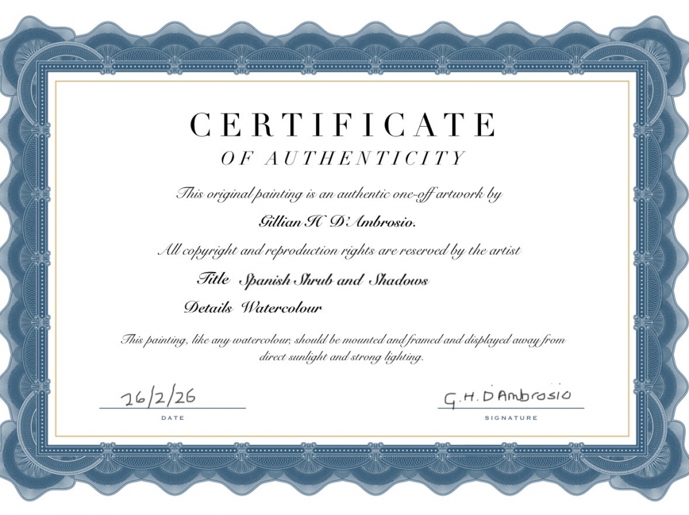 SPANISH SHRUB AND SHADOWS