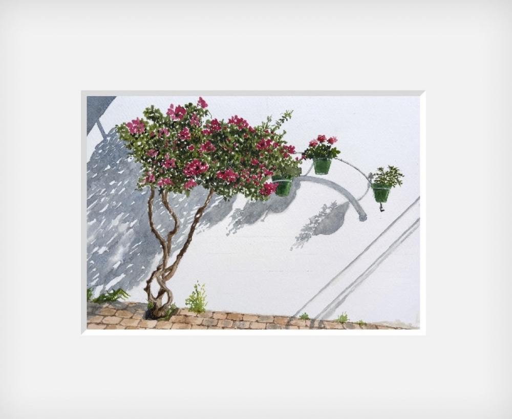 SPANISH SHRUB AND SHADOWS