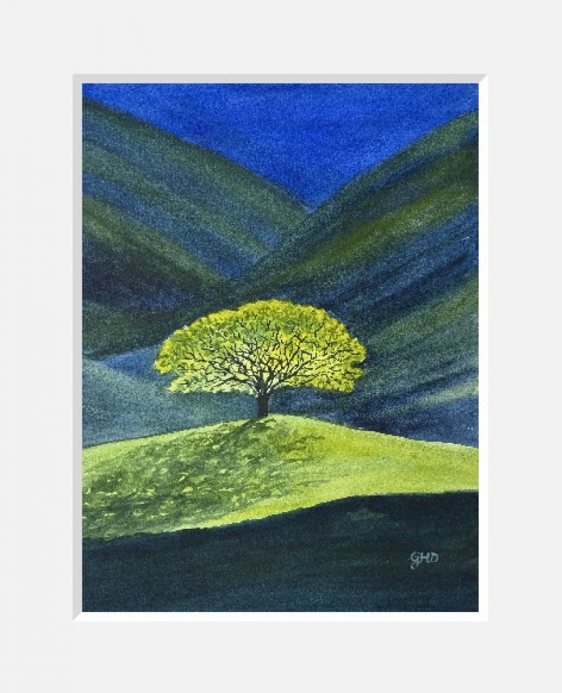 TREE IN THE SPOTLIGHT