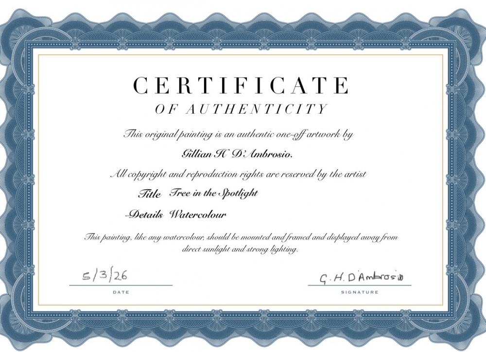 TREE IN THE SPOTLIGHT