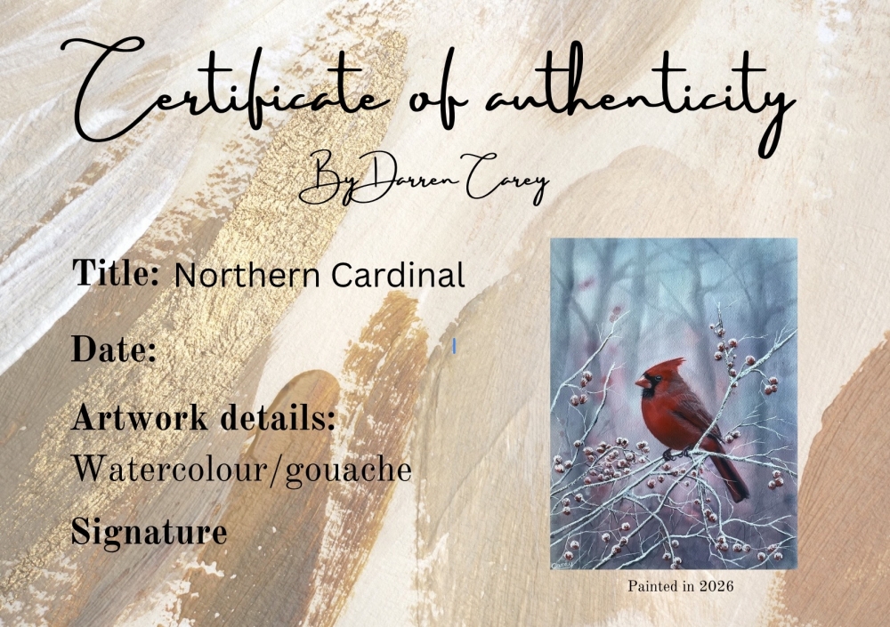 Northern Cardinal winter scene 