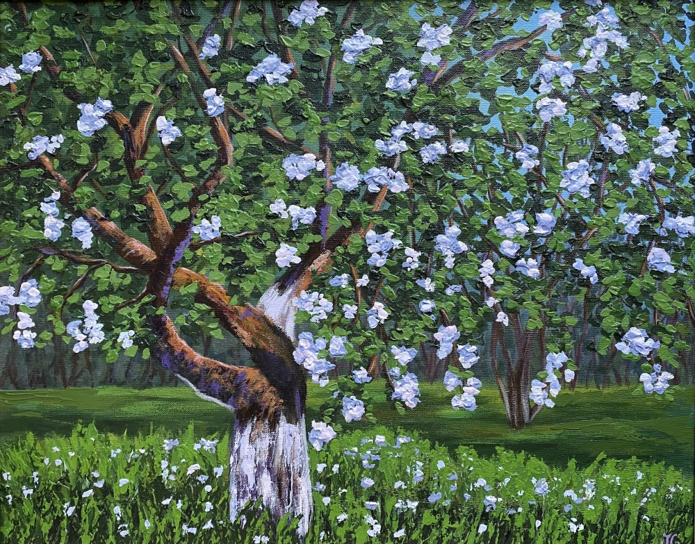 Blossoming Apple Tree