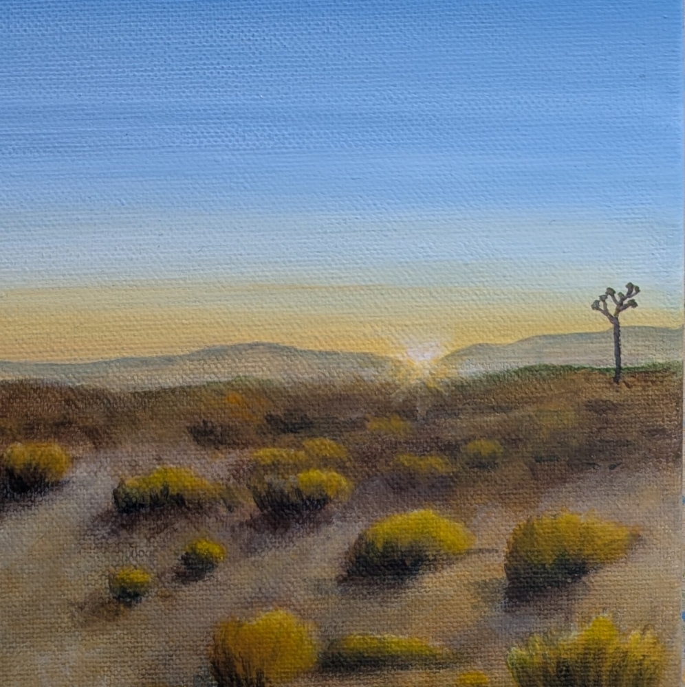 Sunrise Among The Joshua Trees