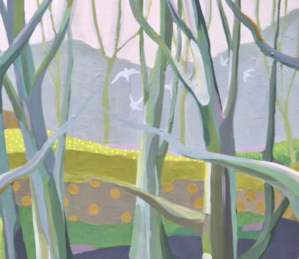 Through the Morning Mist