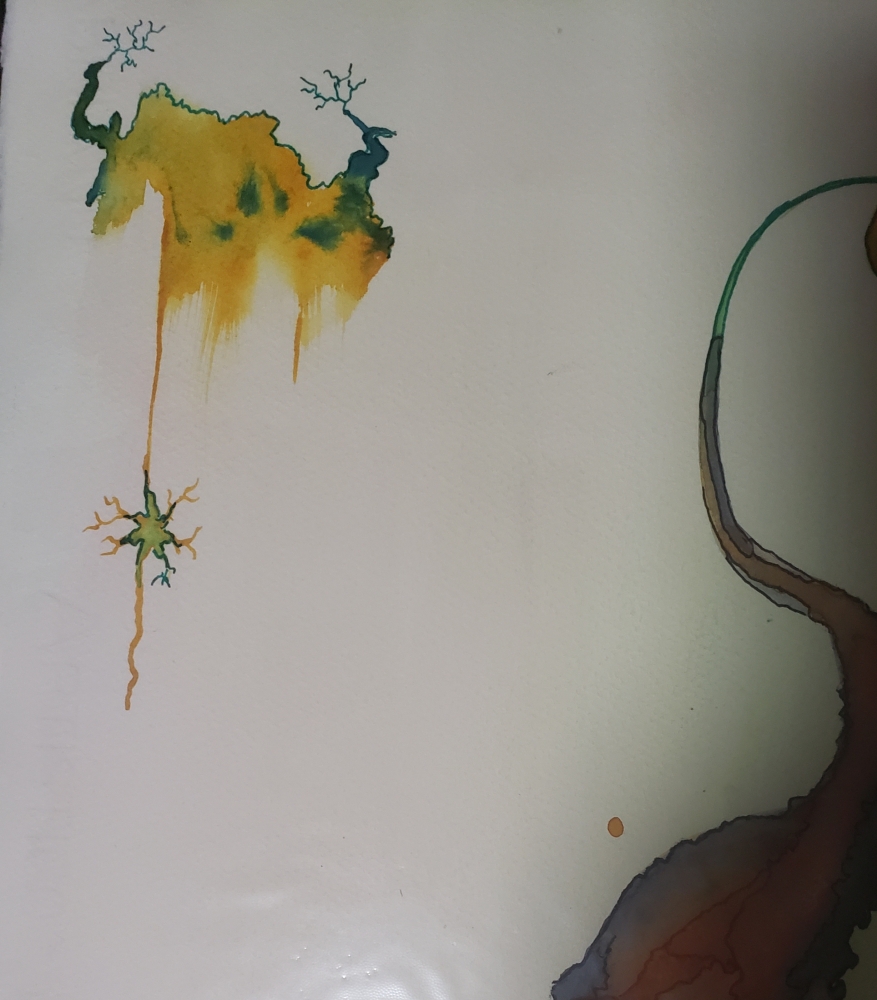 The Photosynthesis ... 15x22 inch, watercolors SKU 4078 