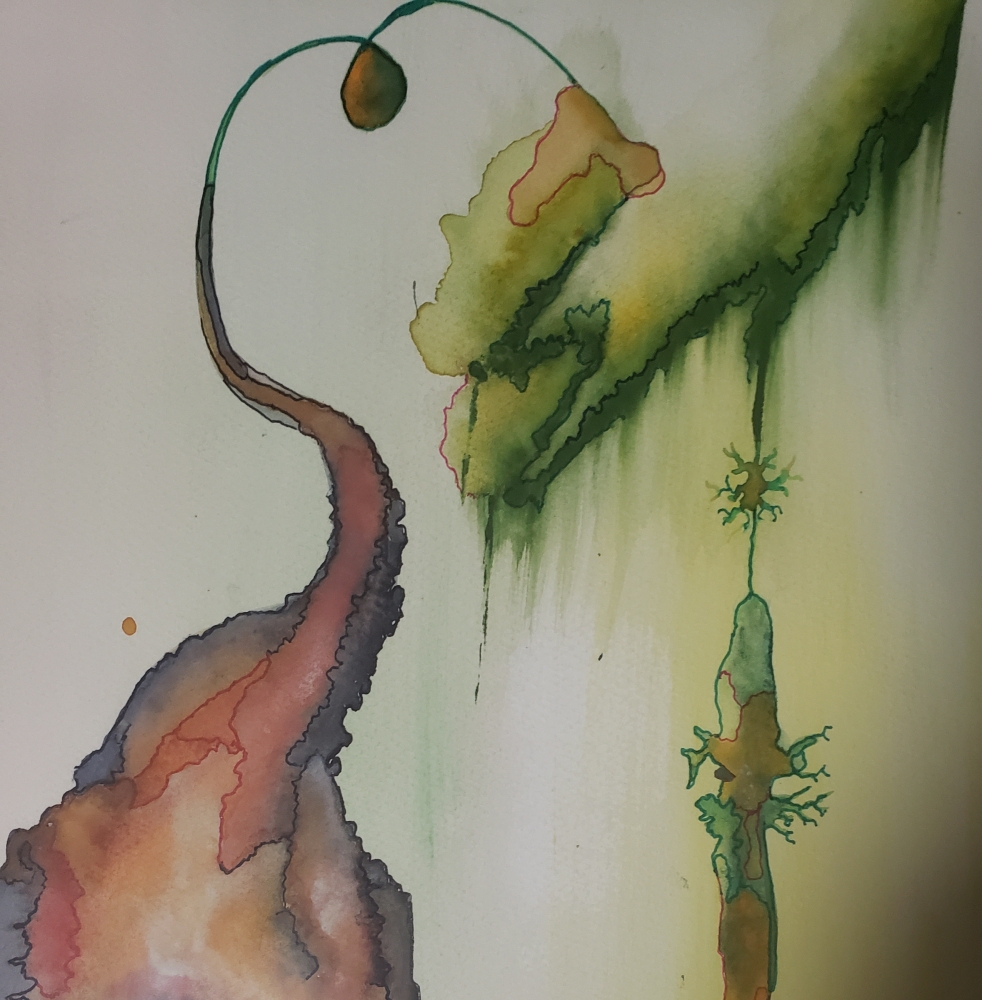 The Photosynthesis ... 15x22 inch, watercolors SKU 4078 