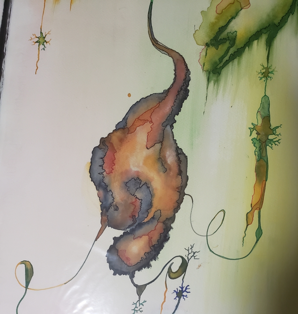 The Photosynthesis ... 15x22 inch, watercolors SKU 4078 