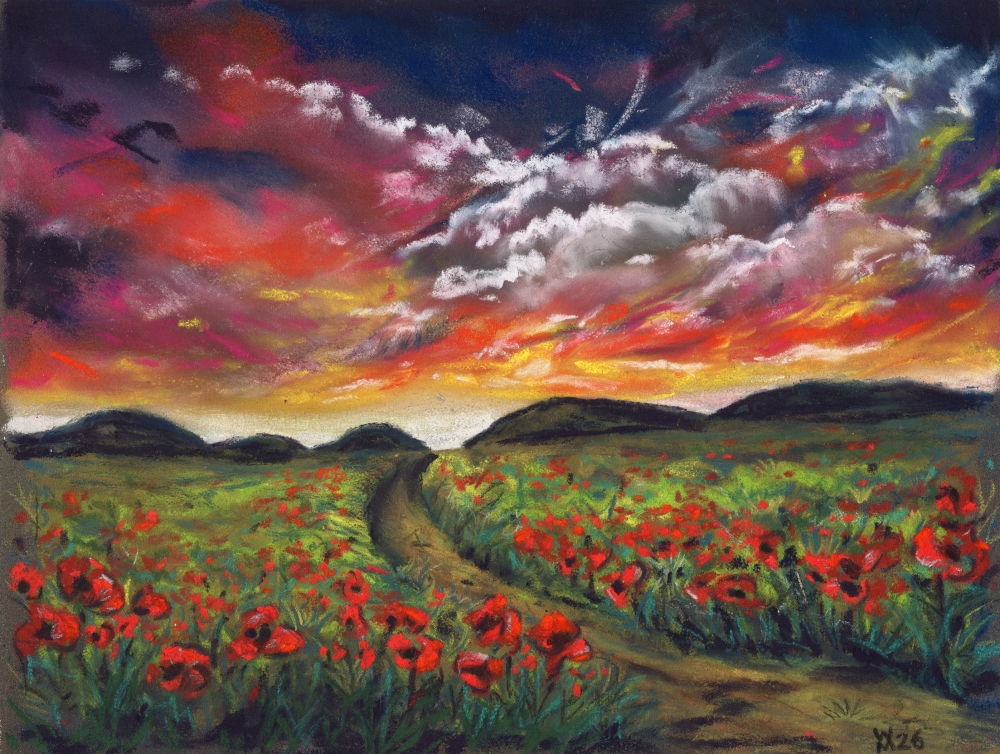 Poppy Field Landscape
