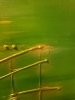 Moment of Music, Green, green, green, acrylic on canvas, 20x48 inch, SKU 1088