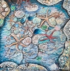 Rockpool with Star-Fish