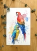 Vibrant Parrots