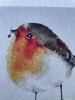 Robin Redbreast