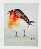 Robin Redbreast