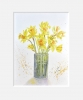 SPRING DAFFODILS 