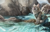 Cat Mermaid 