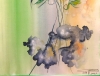 Exotic Flowers 3, 12x18 inch, Watercolors, On Cold Press Paper SKU 4055 