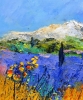 Summer in Provence 