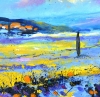 Colourful Provence 
