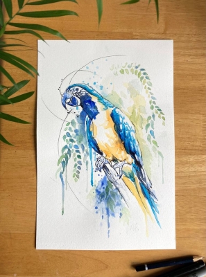 Blue Macaw
