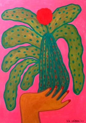Succulent