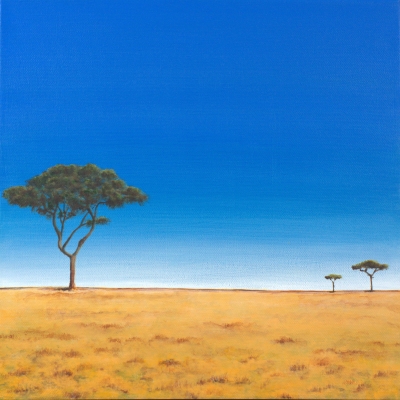 Acacia