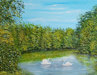 Tranquil Waters