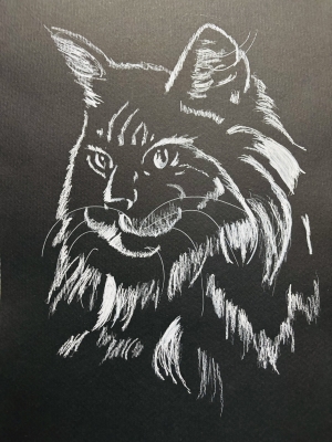 Abstract Cat Portrait 