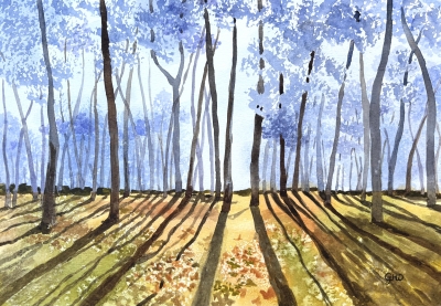 LIGHT IN THE WOODS