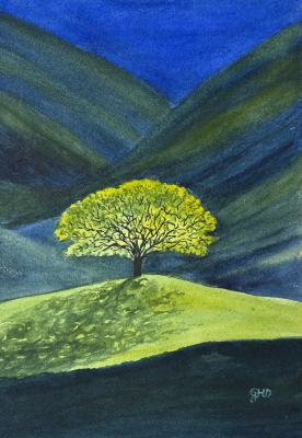 TREE IN THE SPOTLIGHT