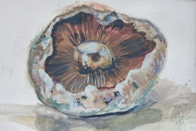 Mushroom
