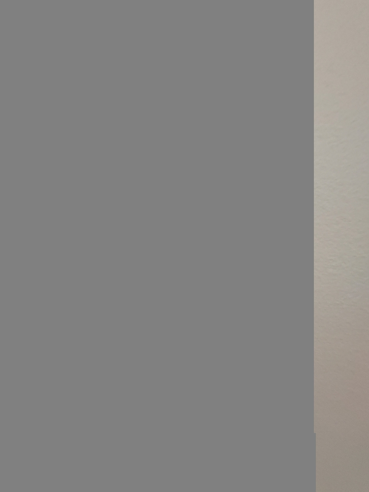 View From The Bridge