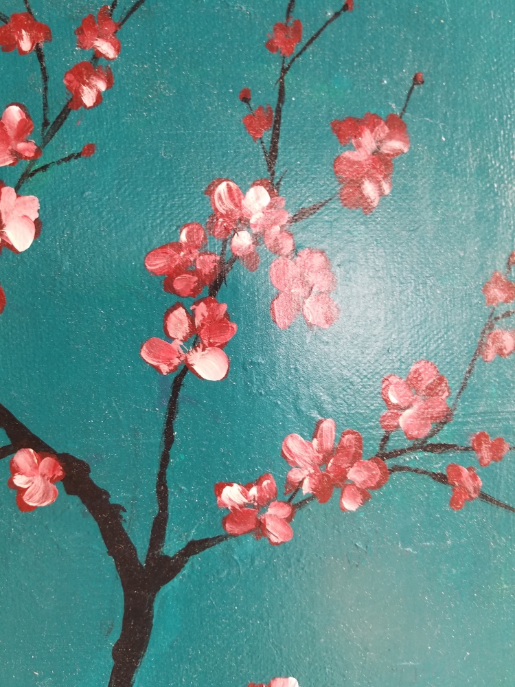 Feng Shui for Beginners