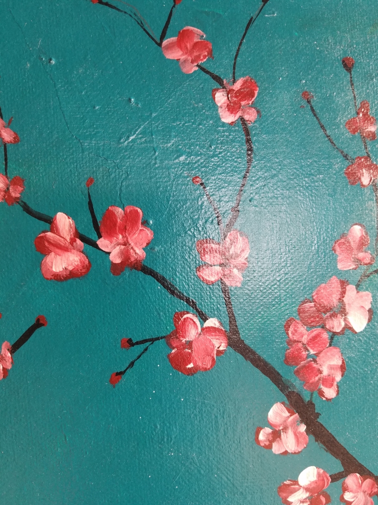 Feng Shui for Beginners