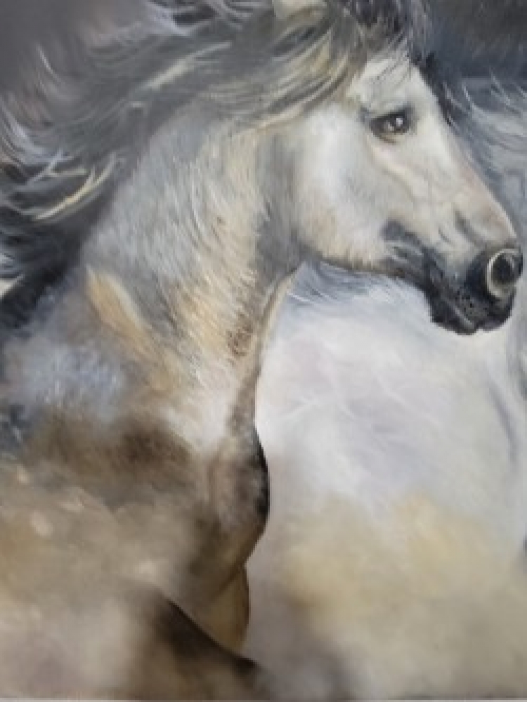 Horses