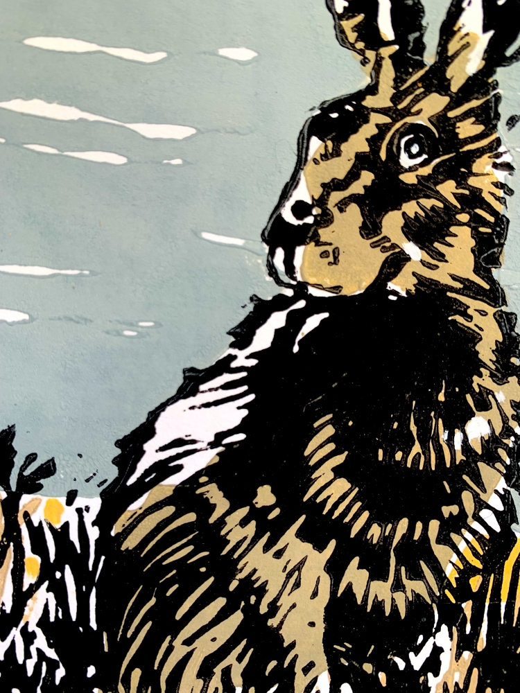 Hare at Botany Bay Broadstairs Kent