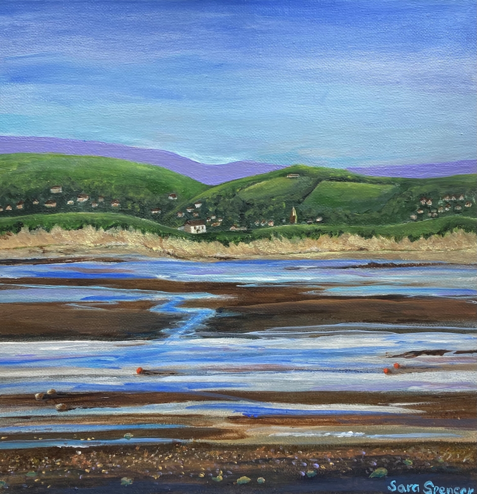 Braunton Burrows, Devon