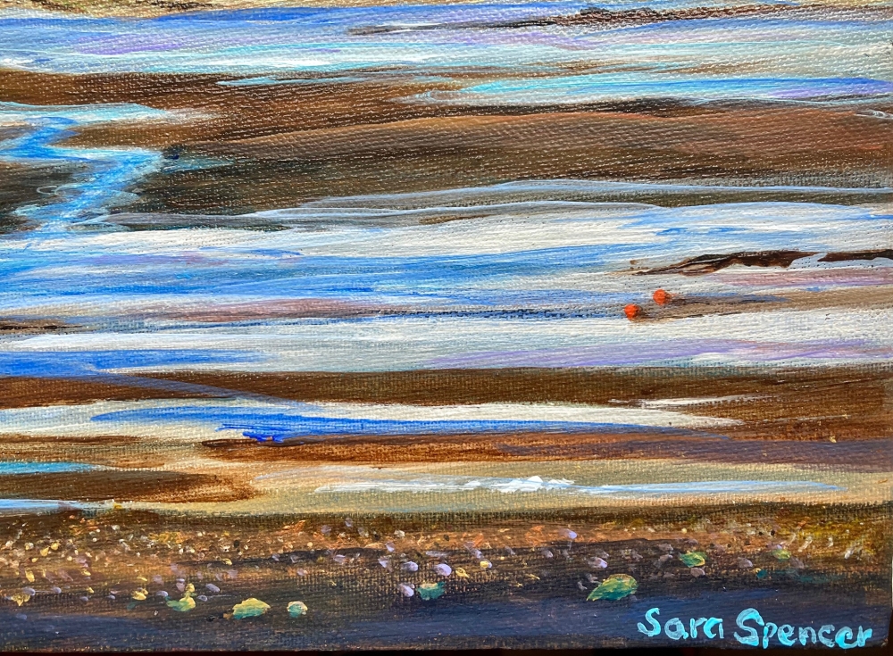 Braunton Burrows, Devon