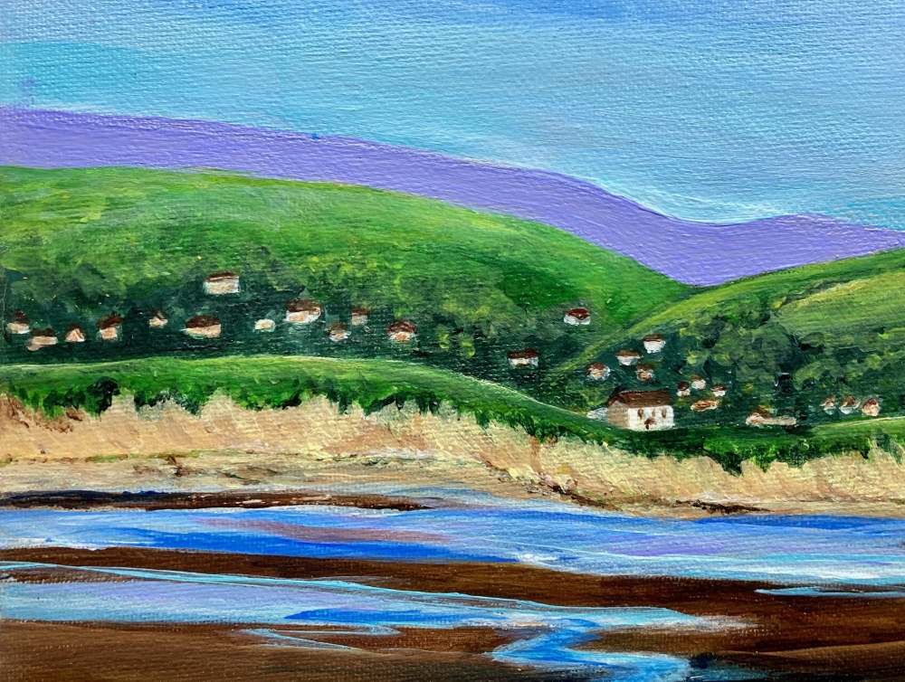 Braunton Burrows, Devon